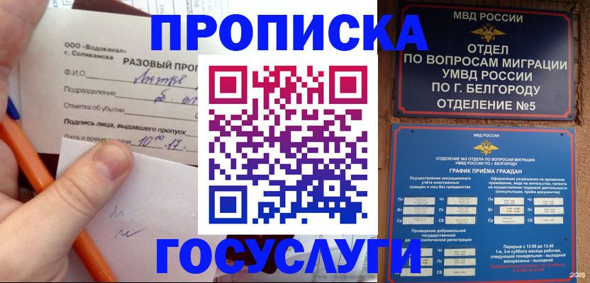 временная регистрация адрес в Жуковском